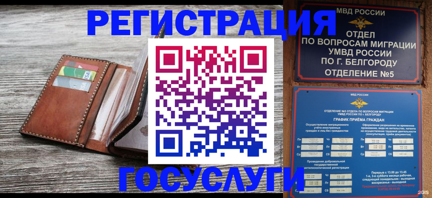 временная регистрация гарантия в Ингушетии